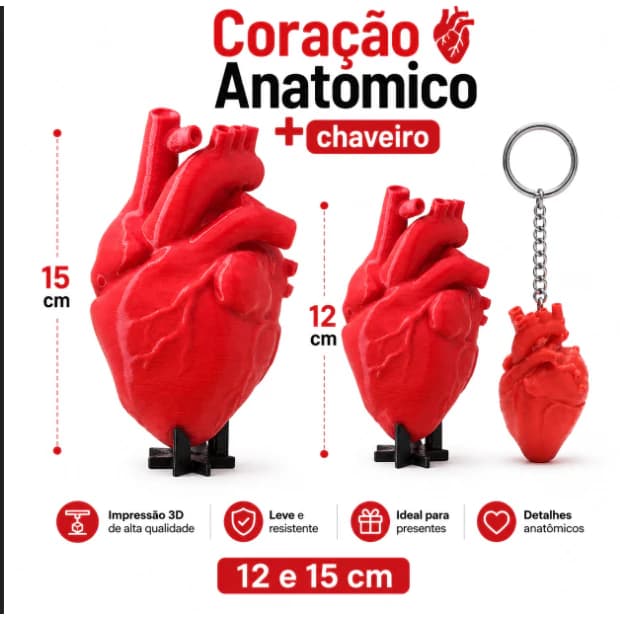 Kit Coração Anatômico 3D + Chaveiro